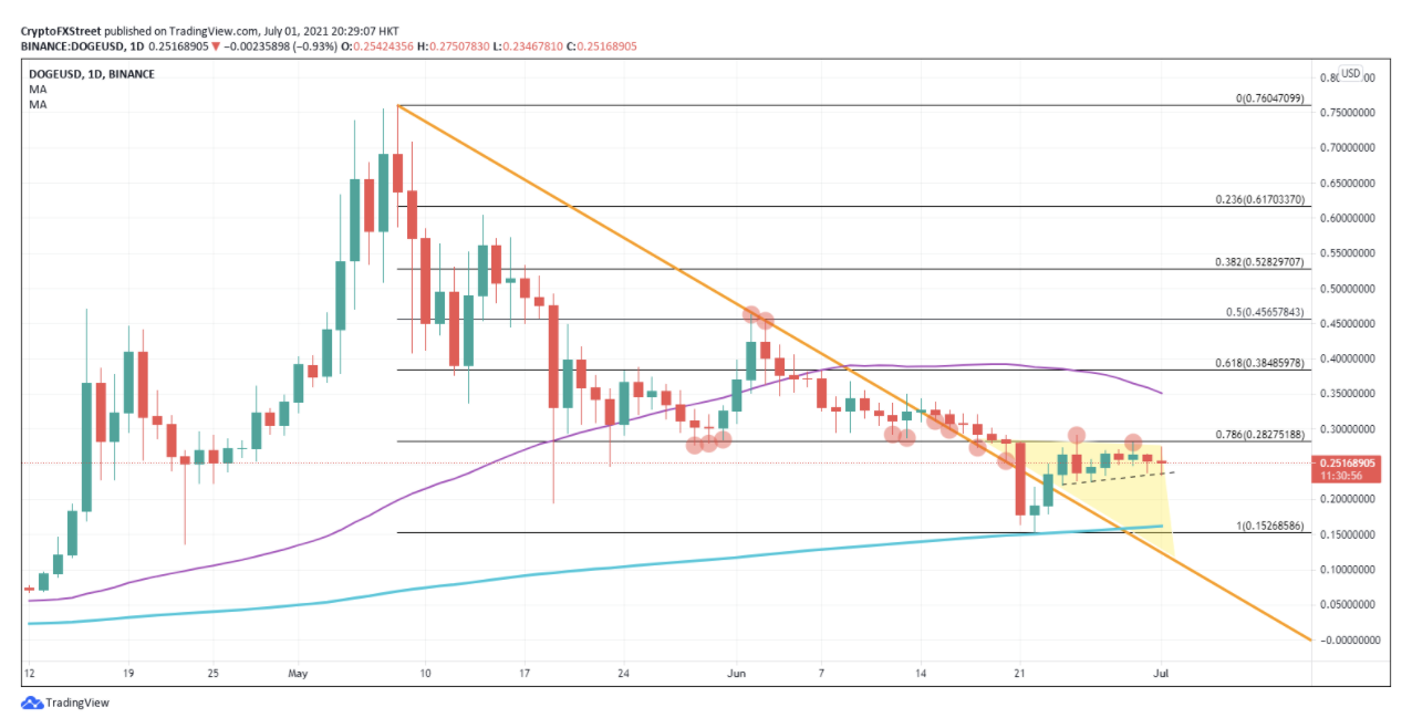 DOGE/USD daily chart